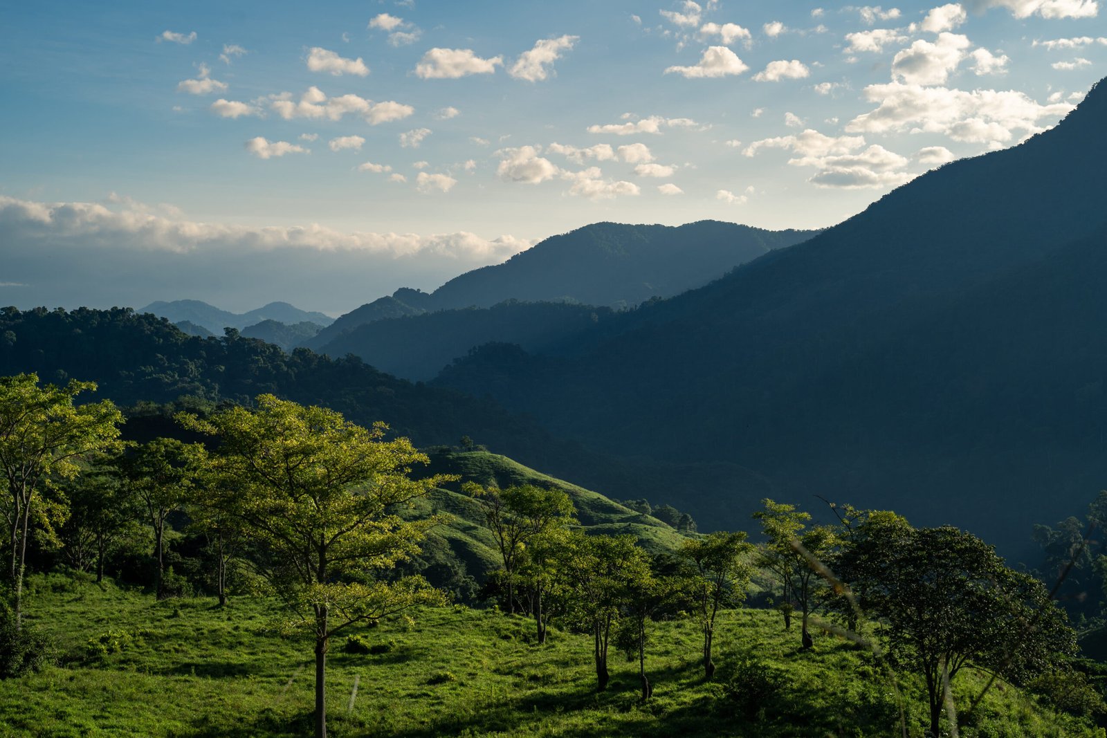 montañas de la sierra nevada en cuidad perdida