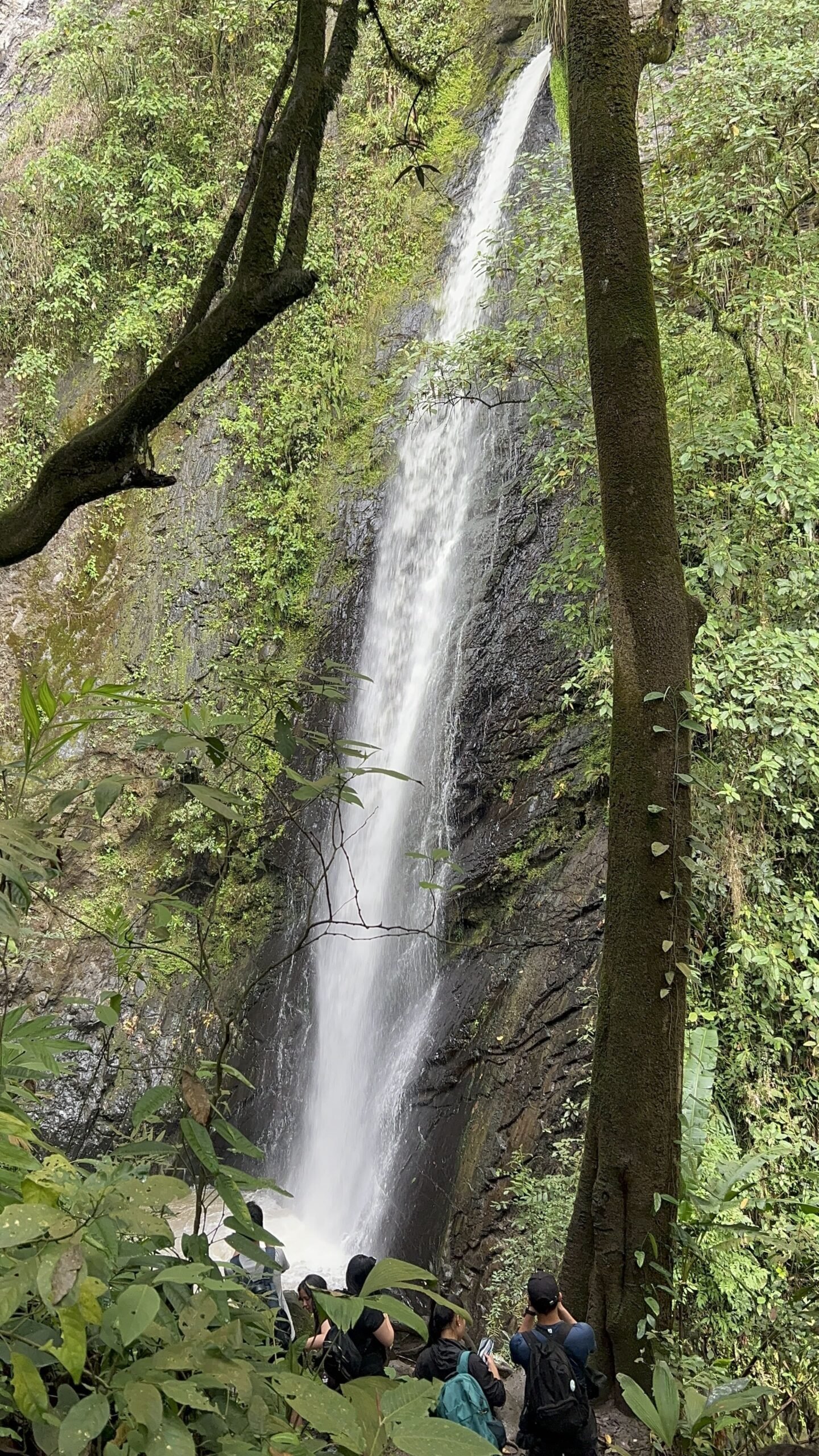 foto de la cascada del tambo